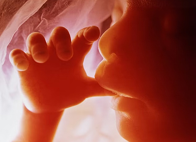 Nafotil zázrak lidského stvoření. Převratné snímky zneužili odpůrci potratů