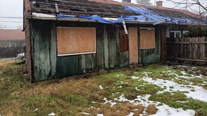 REPORTÁŽ: Zkáza kolonií postupuje jako mor. Hornická Bedřiška není jedinou obětí