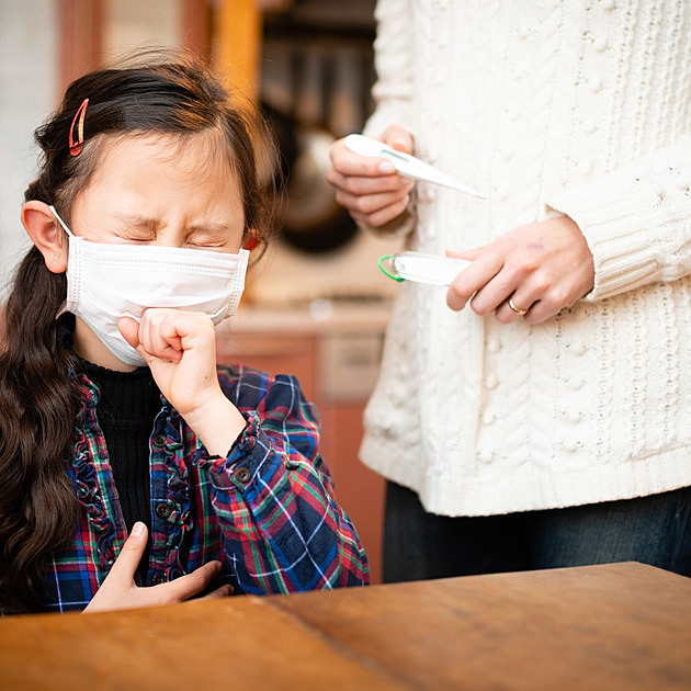 Přijde druhá vlna respiračních onemocnění, varují lékaři v Plzeňském kraji