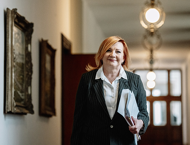 Schodek ve výši 310 miliard je v rozporu se zákonem, varují ekonomové