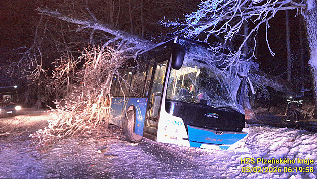 Řidička autobusu vyjela ze silnice a přerazila strom, dub jí spadl na střechu