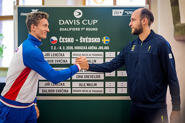 Los Davis Cupu: Lehečka proti Švédsku začne, vyzve ho hráč ze šesté stovky