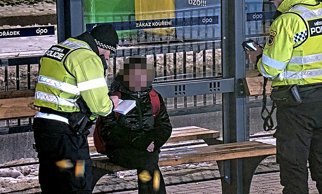 Ostravští policisté hlásí rekord. Polovinu případů dokázali objasnit