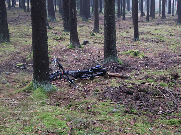 Cyklista přecenil síly na mokré lesní cestě, po nárazu do stromu zemřel