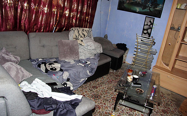 Sexuchtiví Němci naletěli volavkám, gang je zbil a okradl. Soud rozdal tresty