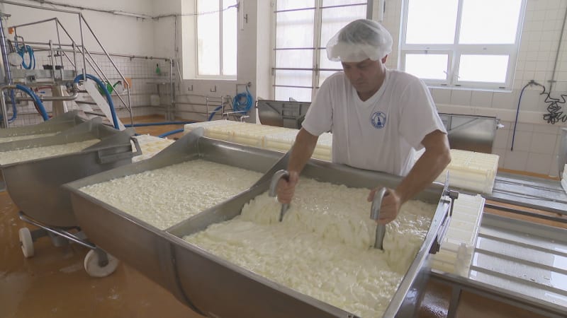 Stop migraci českého mléka, plánuje ministr za SPD. Chce zvrátit masivní vývoz do Německa