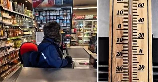 Dělají z lidí mražené výrobky, říká politik. Dino čelí kontrole kvůli zimě na pracovišti